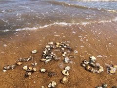 -东疆理想海岸沙滩景区
