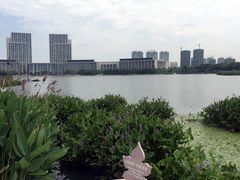 -尚贤河湿地