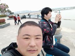 -合肥滨湖国家森林公园