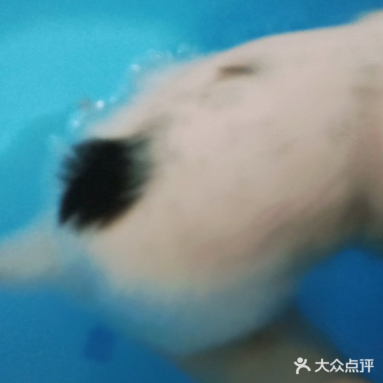 今天又收留一个小活宝 下午去朋友厂里有事，看见她厂里