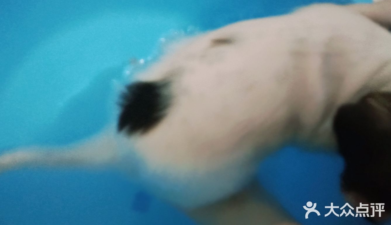 今天又收留一个小活宝 下午去朋友厂里有事，看见她厂里