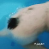 今天又收留一个小活宝 下午去朋友厂里有事，看见她厂里