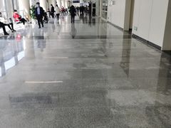 -首都医科大学附属北京天坛医院