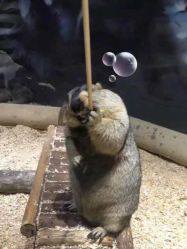 -酷嗒动物文化乐园(cutezoo西溪乐天城店)