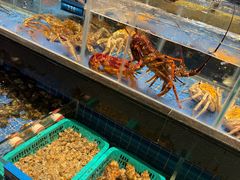 -青蓬蒸汽海鲜·深圳老字号·团建聚会(壹方城店)