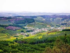 -帽儿山国家森林公园