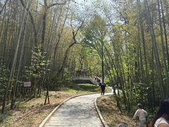 -青龙山国家森林公园