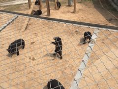 -五龙山野生动物王国