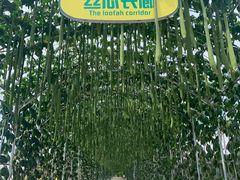 -北戴河集发农业梦想王国