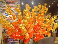-远大购物中心(南岗店)