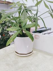 -痘院长·祛痘·科技美肤