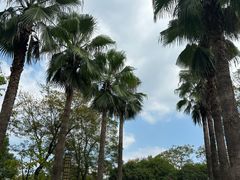 -三江森林温泉度假区