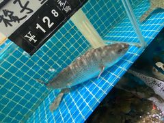 -聚德福海鲜家常菜(刘庄店)