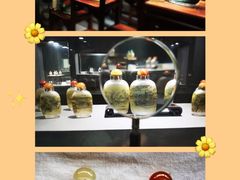-呼和浩特博物馆