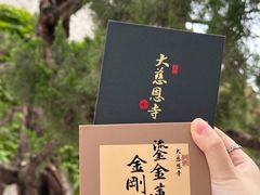 -大慈恩寺(大雁塔)