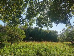 -长春公园(普阳街道)