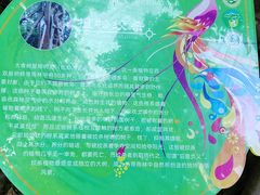 -西双版纳原始森林公园