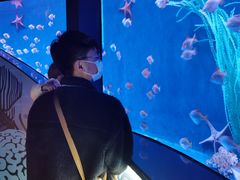 -沈阳海洋探索中心