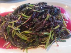 清炒红苋菜-高坎一品甲鱼庄(两河店)