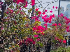 -冰冰龙虾·江湖菜·花园江景餐厅