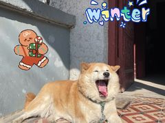 -常熟路(地铁站)