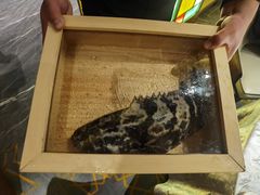 -ONE FULL 古董港式海鲜火锅