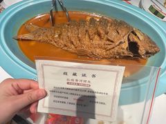 -阿五黄河大鲤鱼(英协路店)