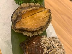 -一本钓鲔鱼屋
