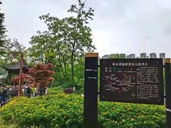 -重庆彩云湖湿地公园