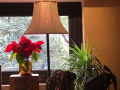 靠窗位-古董花园(思南路42弄小区店)