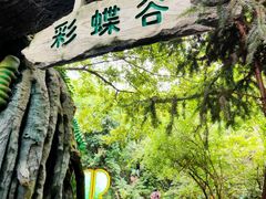 -天目湖山水园