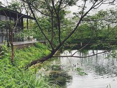 -木守西溪溪隐餐厅