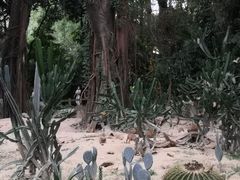 -广州长隆野生动物世界