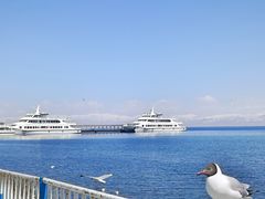 -青海湖国家重点风景名胜区