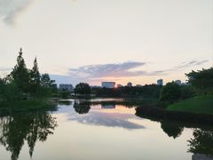 -眉山湿地公园(东坡区)