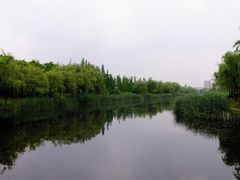 -新江湾城公园