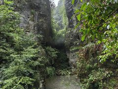 -蝶舞清江·恩施云顶景区(黄鹤峰林)