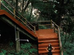 -牛背梁国家森林公园