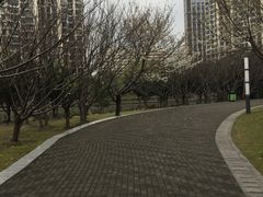 -苏州河梦清园环保主题公园