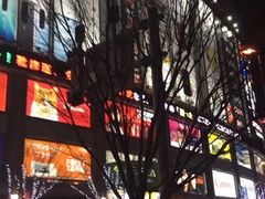 -秋叶原电器街