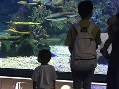 -江和美海洋公园
