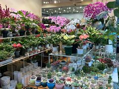 -双季花艺园艺市场(浦东店)