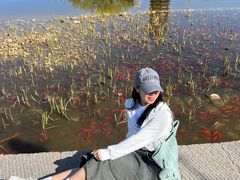 -西海子公园