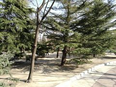 -方庄体育公园