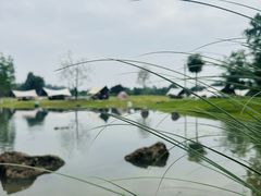-夏河溪乡野公园