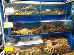 水产区-蚝专家(北滘店)
