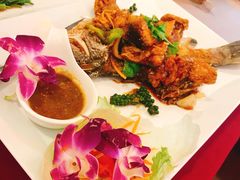 -Daddy Nimman Chiang Mai