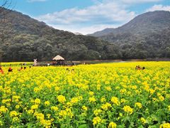 -广州市石门国家森林公园