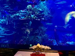 -迪拜帆船酒店海底餐厅