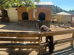 -HERRE·FARM 赫尔露营农场·团建聚会包场